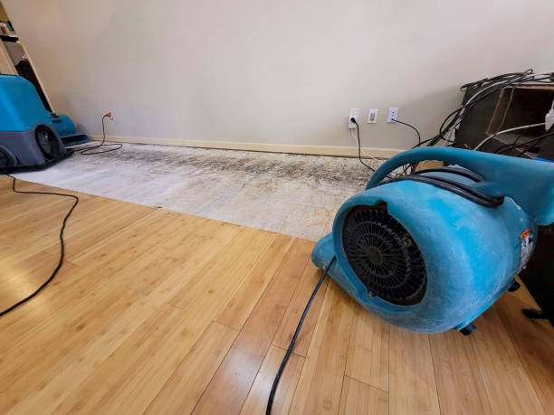 Professional Water Damage Repair technician working in Belpre, OH